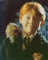 /album/photogallery/ronweasley-jpg/